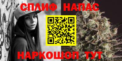 mdpv Бийск
